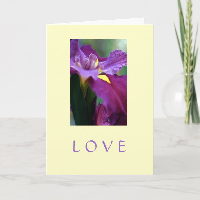 "Love" Holiday Card (Front)