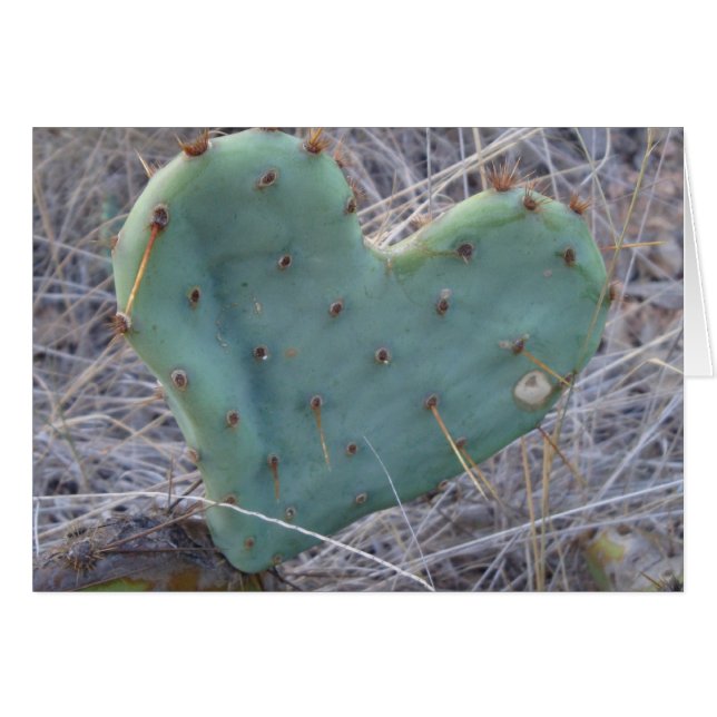 Love hurts (Front Horizontal)