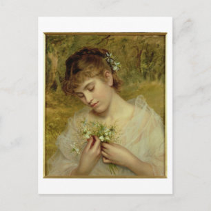 Love in a Mist (oil on canvas) Postcard