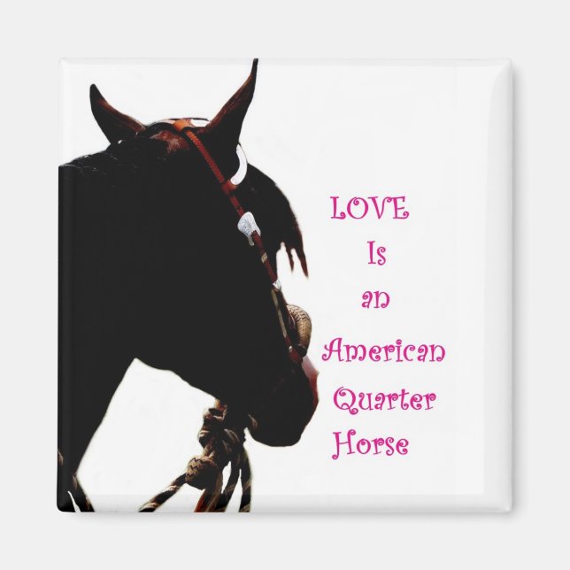 Love is a Quarter Horse magnet (Front)