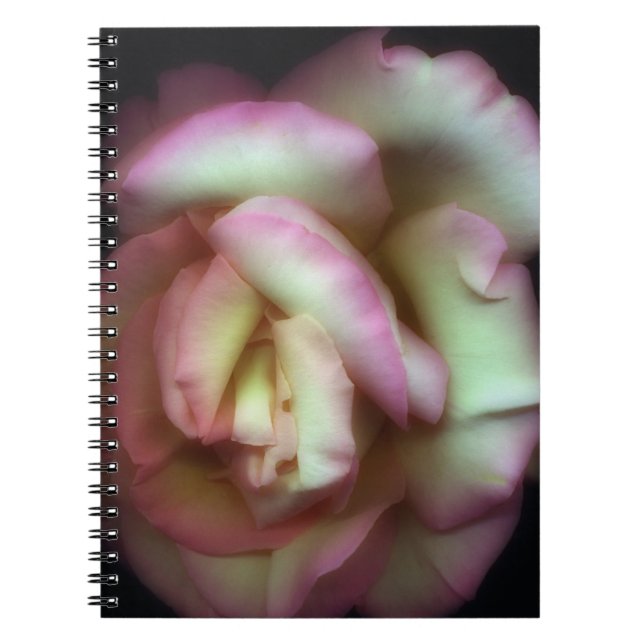 <Love is a Rose> by Nathan Griffith Spiral Notebook (Front)