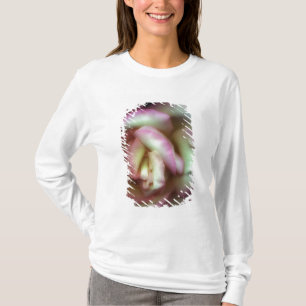 <Love is a Rose> by Nathan Griffith T-Shirt