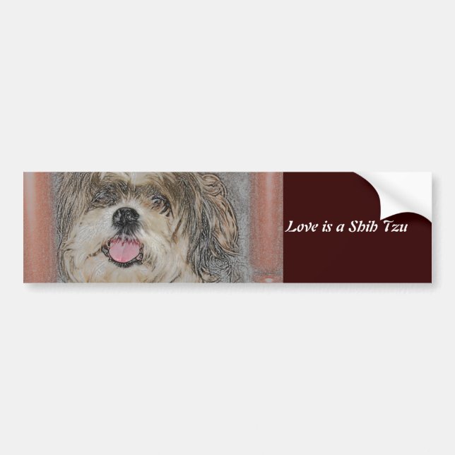 Love is a Shih TzU Bumper Sticker (Front)