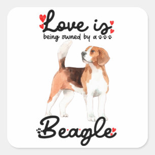 Love Is Being Owned By A Beagle Square Sticker