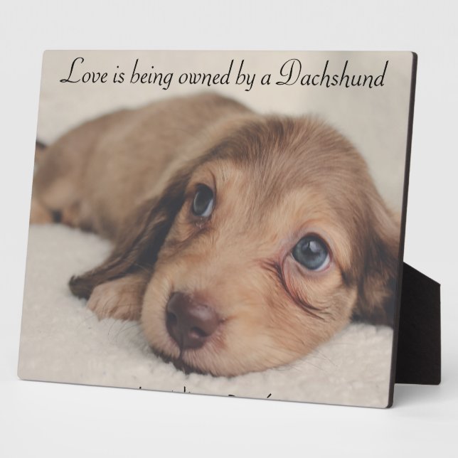 Love is being owned by a Dachshund Plaque (Side)