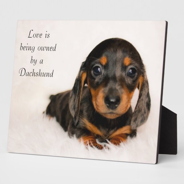 Love is being owned by a Dachshund Plaque (Side)