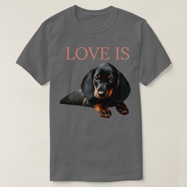 Love Is Dachshund Dog1 T-Shirt (Design Front)