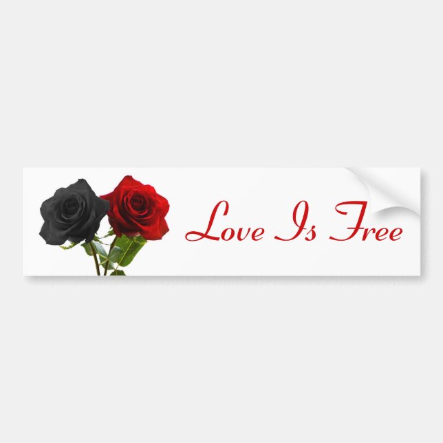 Love is free bumper sticker (Front)