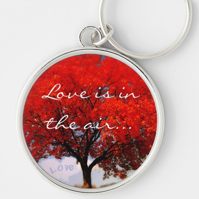 Love is in the air... key ring (Front)