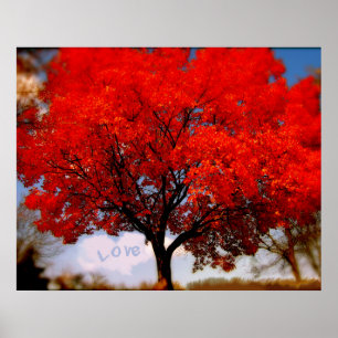 Love is in the Air Poster