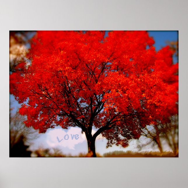 Love is in the Air Poster (Front)