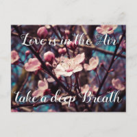 Love is in the Air take a deep Breath |  Spring