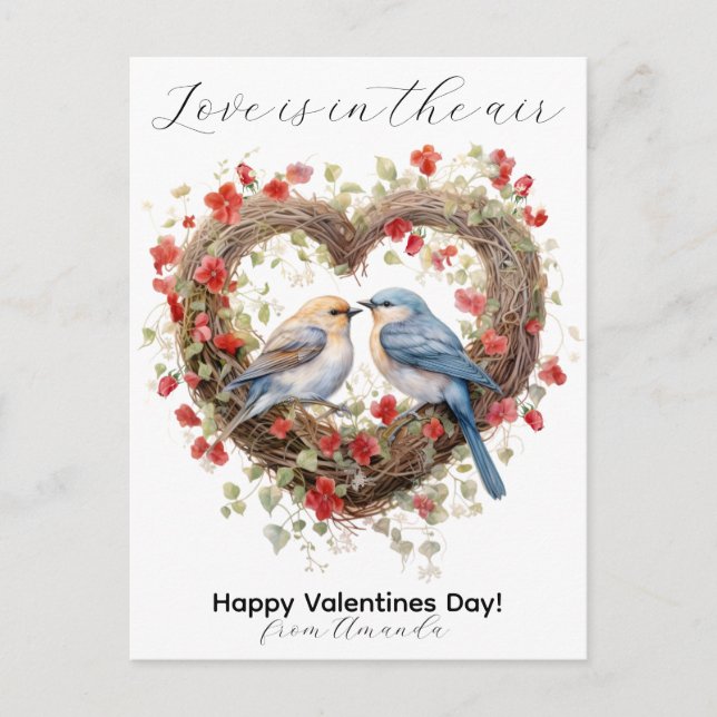 Love Is In The Air Valentines Cute Birds  Holiday Postcard (Front)