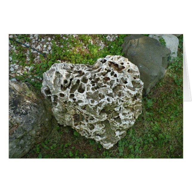 Love is like a rock (Front Horizontal)