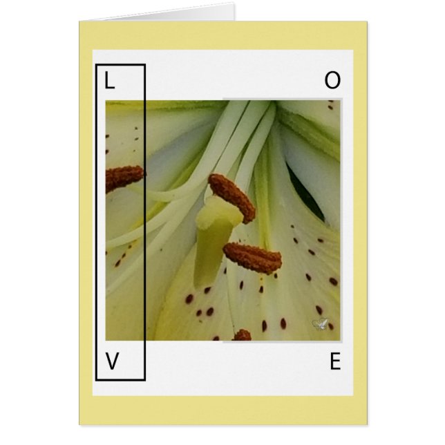 LOVE IS LILY -CHRISTIAN GREETING (Front)