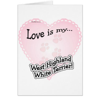 Love is my West Highland White Terrier