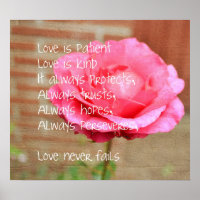 Love is Patient Rose