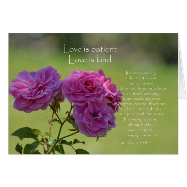 Love is Patient Roses (Front Horizontal)