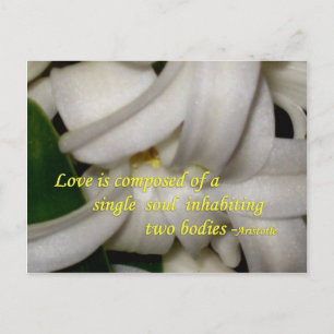 Love Is Postcard