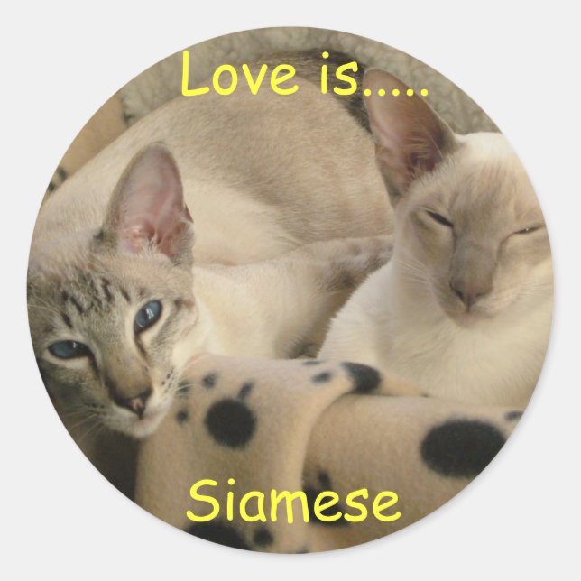 Love is....., Siamese Classic Round Sticker (Front)