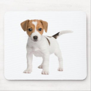 Love Jack Russell Terrier Puppy Dog Mousepad