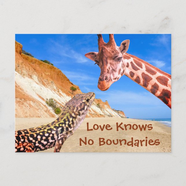 Love Knows No Boundaries Funny Animal Photomontage Postcard (Front)