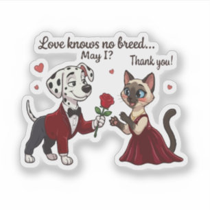 Love Knows No Breed Dalmatian and Siamese Cat