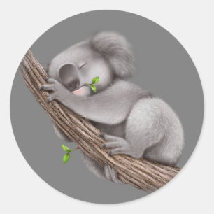 Love Koala Bears Classic Round Sticker