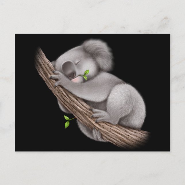 Love Koala Bears   Postcard (Front)