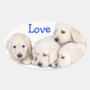 Love Labrador Retriever Puppies Sticker