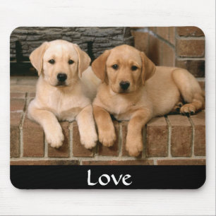 Love Labrador Retrievers Puppies Mousepad