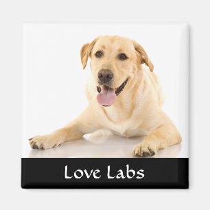 Love Labs "Yellow Labrador Retreiver" Magnet