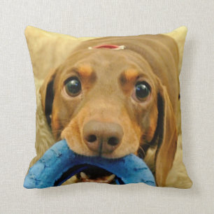 LOVE & LICKS Pluto chewing toy cream Cushion