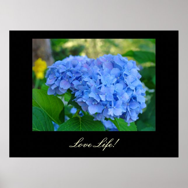 Love Life! art prints Blue Hydrangea Floral art (Front)