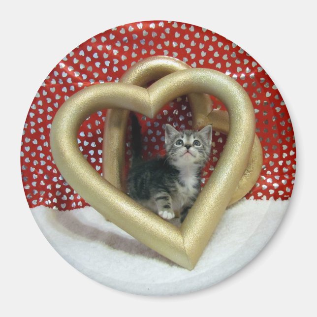 Love, Lilo - Heart Cat / Kitten Magnet (Front)