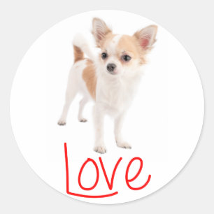 Love Long Haired Chihuahua Puppy Dog Classic Round Sticker