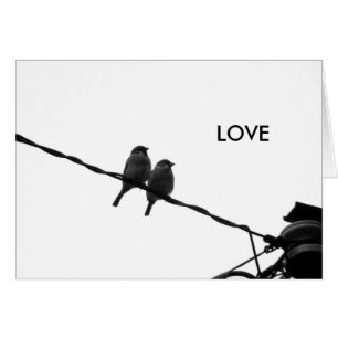 Love/Looking in the Same Direction