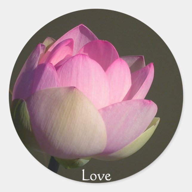 Love Lotus Classic Round Sticker (Front)