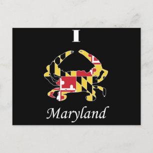 Love Maryland Crab Postcard