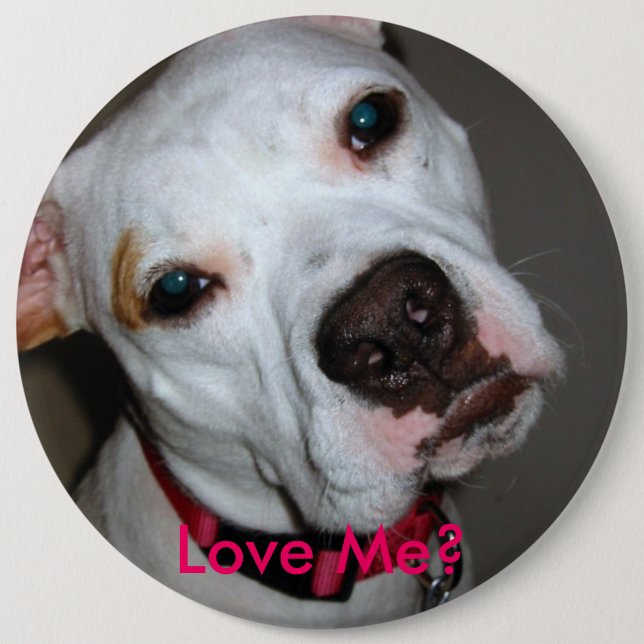 Love Me? button (Front)