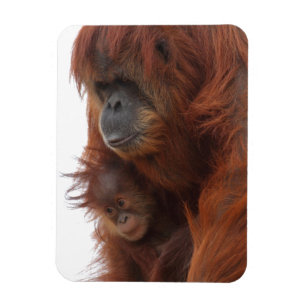 Love me forever Mama Magnet