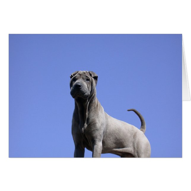 Love Me, Love My Dog... (Front Horizontal)