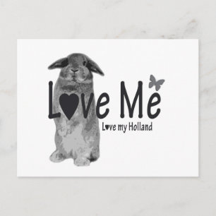 Love me, love my Holland postcard