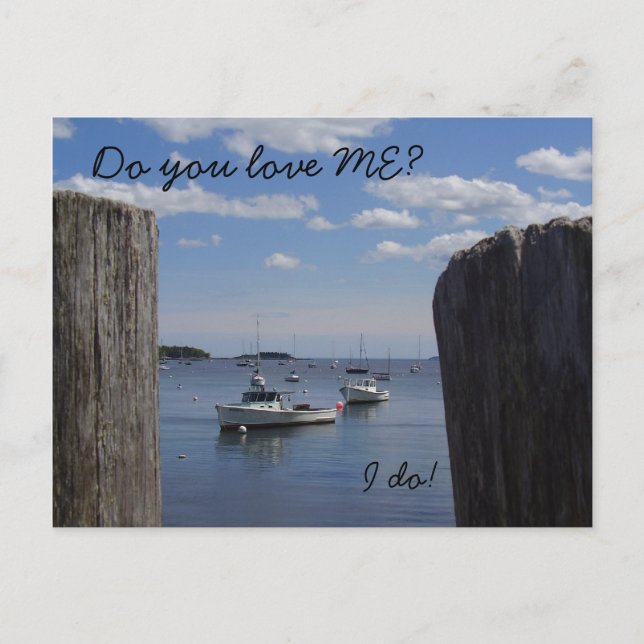 Love Me Maine Postcard (Front)