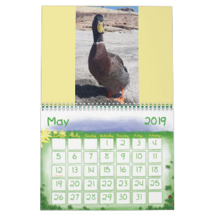 Love me some Nibbles 2019 Calendar