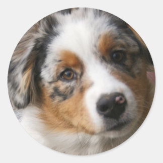 Love my Aussie Classic Round Sticker