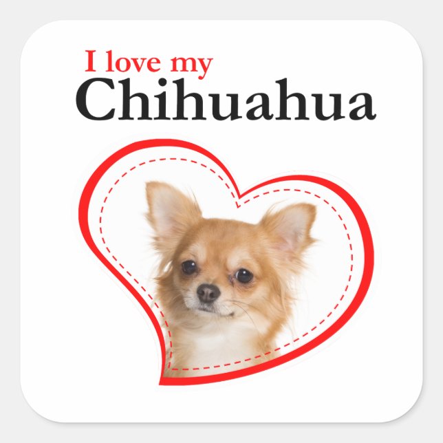 Love My Chihuahua Stickers (Front)