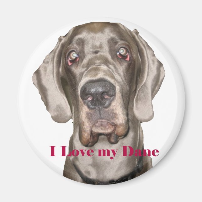 Love My Dane Magnet (Front)