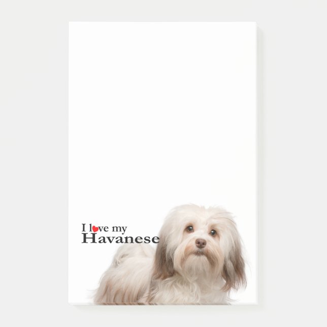 Love My Havanese Notes (Front)