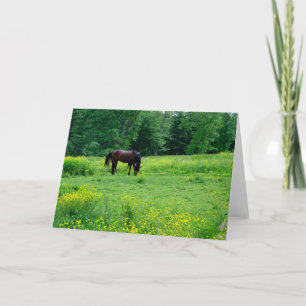 LOVE MY HORSIE! card